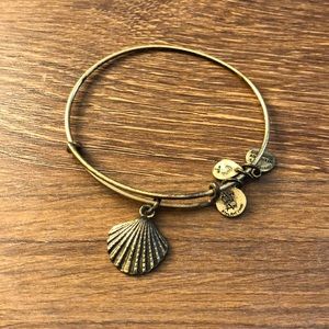 Alex and Ani charm bracelet